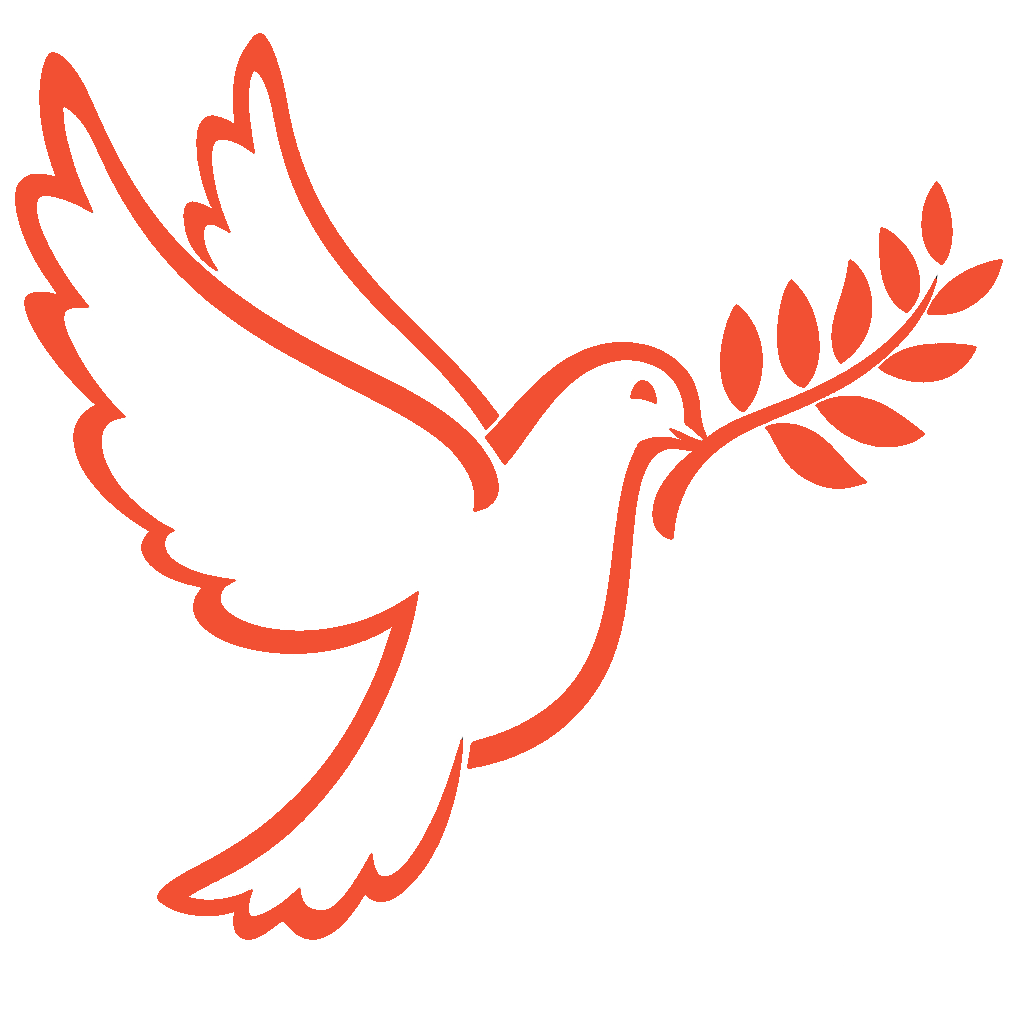Transbordeianu SRL Logo